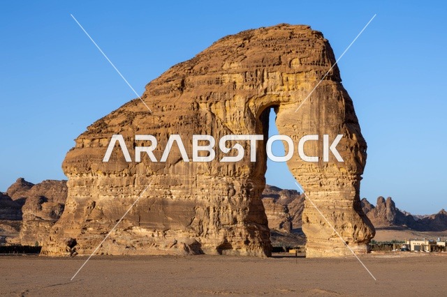 صخرة الفيل العلا السعودية تكوين صخري رملي