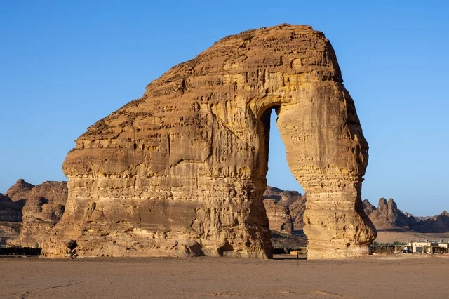 صخرة الفيل العلا السعودية تكوين صخري رملي