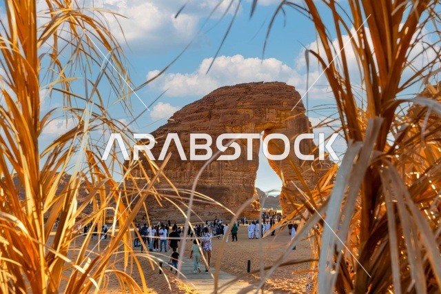 صخرة الفيل العلا المملكة العربية السعودية