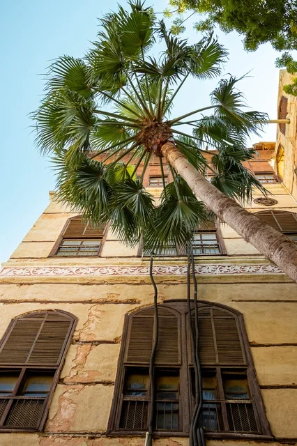 Palm Tree and Historical Building in Al Balad Jeddah