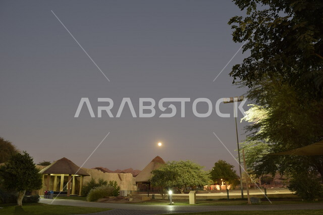 صورة ليلية من داخل حديقة العين للحيوانات في مدينة أبو ظبي بالإمارات العربية المتحدة، معالم الإمارات، السياحة في الإمارات