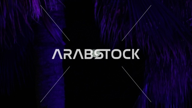 القمر في واجهة الدمام البحرية مع إضاءة بنفسجية ليلية