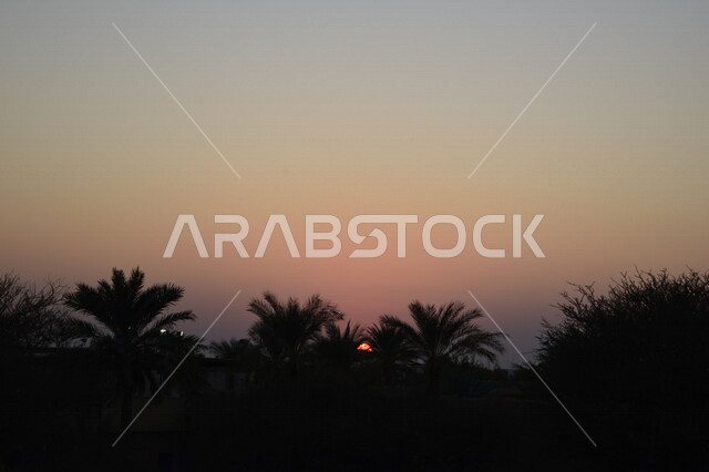 غروب شمس ساحر خلف واحة من النخيل في مدينة العين بأبو ظبي، الطبيعة في الإمارات العربية المتحدة، جمال غروب الشمس، مناظر طبيعية خلابة، غروب الشمس، اشجار النخيل، السياحة في الإمارات
