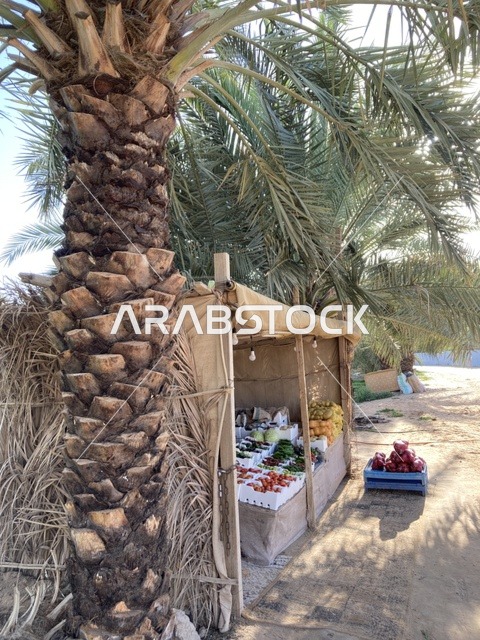 كشك خضروات تقليدي في مزارع مدينة بريدة بالقصيم