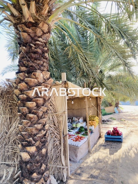 كشك خضروات تقليدي في مزارع مدينة بريدة بمنطقة القصيم