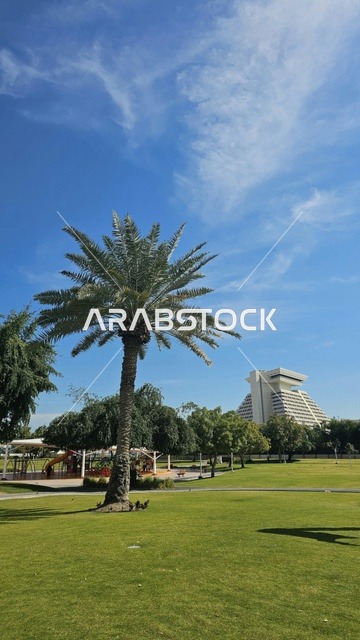 شجرة نخيل وحديقة عامة في دبي