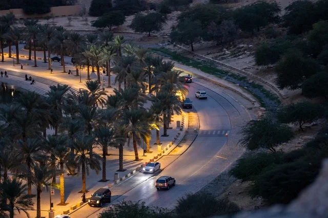 Wadi Namar Riyadh Road with Palm Trees at Night