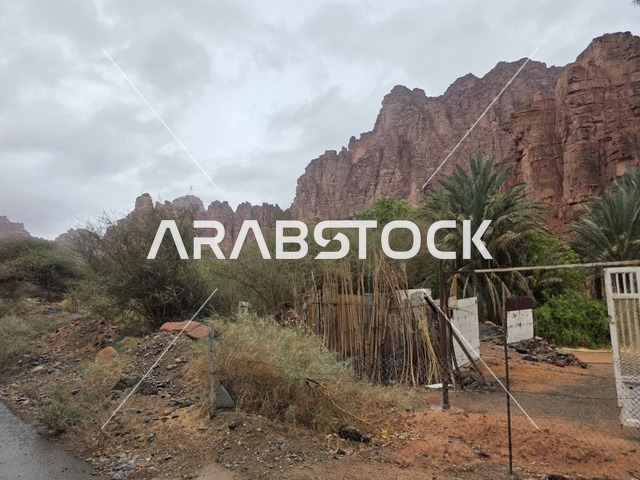 جبال تبوك الحمراء مع النخيل في السعودية