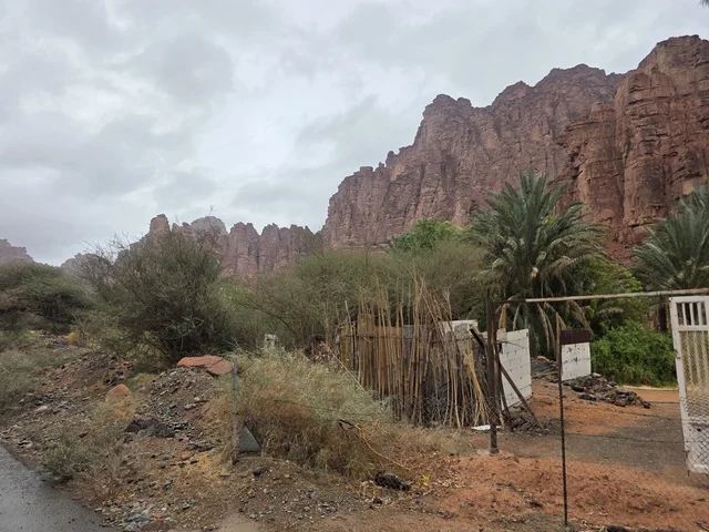 جبال تبوك الحمراء مع النخيل في السعودية