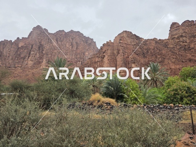 جبال تبوك الرملية وأشجار النخيل في السعودية