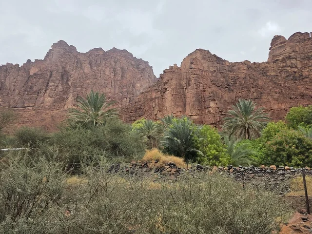 جبال تبوك الرملية وأشجار النخيل في السعودية