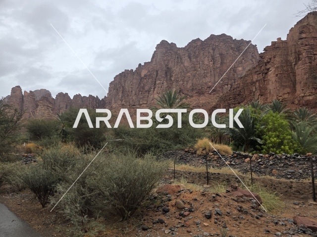 Tabuk Mountains Saudi Arabia Red Sandstone Landscape