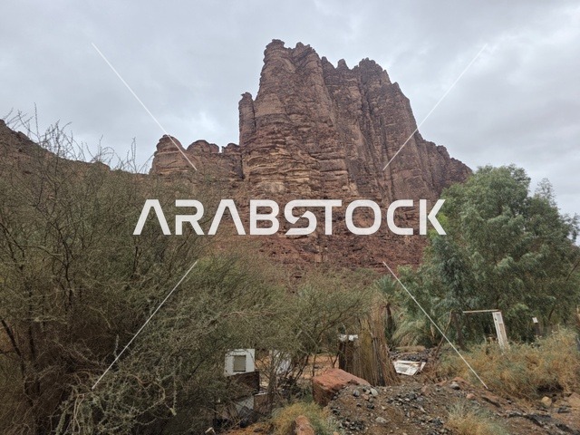 جبال الحجر الرملي الحمراء والنباتات في تبوك السعودية
