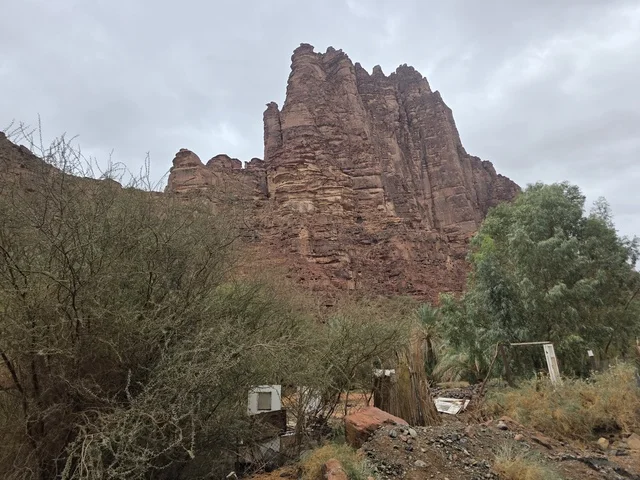 جبال الحجر الرملي الحمراء والنباتات في تبوك السعودية