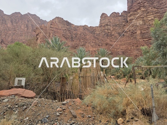 جبال تبوك والواحة الصحراوية في السعودية