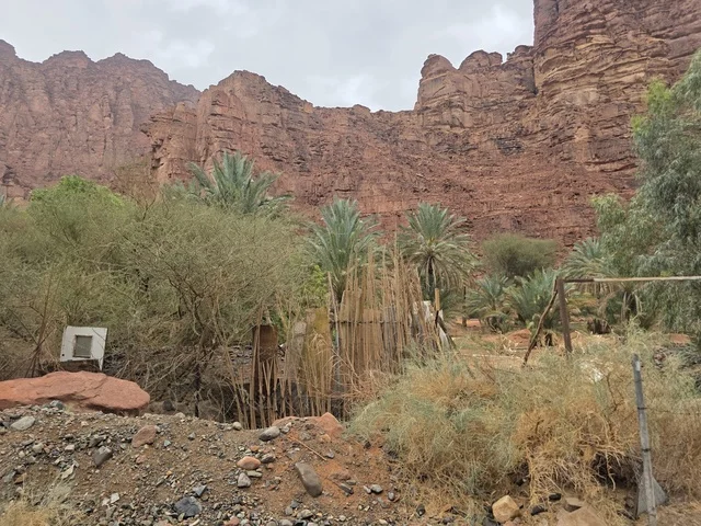 جبال تبوك والواحة الصحراوية في السعودية جبال تبوك والواحة الصحراوية في السعودية