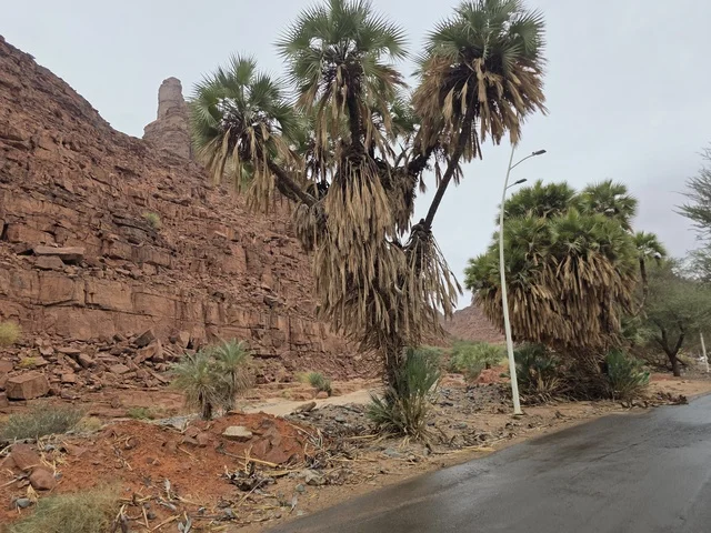 Tabuk Mountains Saudi Arabia with Red Rocks and Palms
