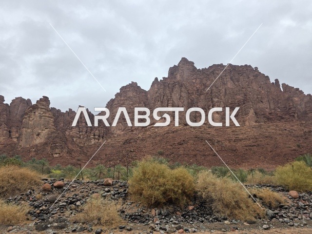 جبال الحجر الرملي في تبوك السعودية