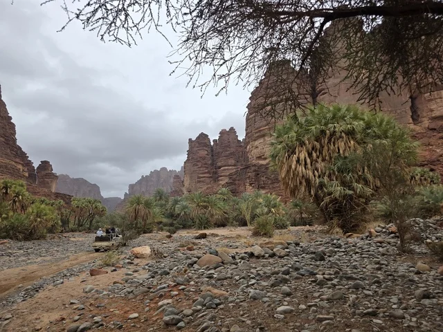وادي الديسة في تبوك السعودية جبال ونخيل