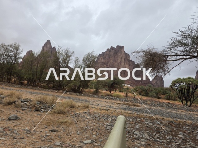 جبال تبوك السعودية طبيعة صحراوية تحت الغيوم