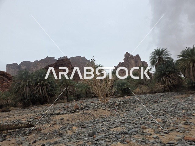 جبال تبوك السعودية مع أشجار النخيل الصحراوية