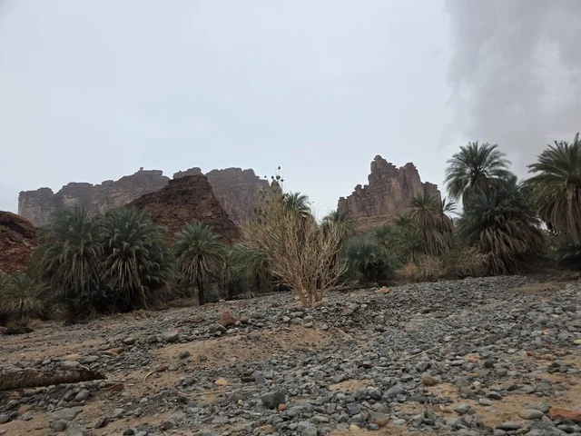 جبال تبوك السعودية مع أشجار النخيل الصحراوية