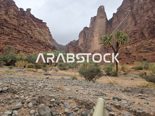 جبال تبوك الصخرية وأشجار النخيل في المملكة العربية السعودية