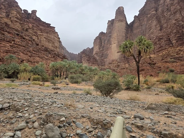 جبال تبوك الصخرية وأشجار النخيل في المملكة العربية السعودية