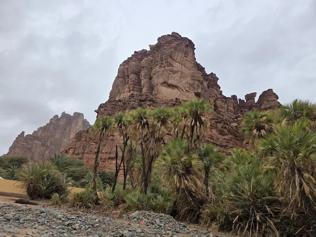 جبال منطقة تبوك بالمملكة العربية السعودية