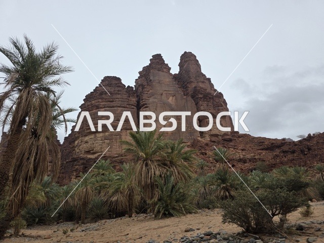 Red Sandstone Mountains and Palm Trees in Tabuk Saudi Arabia