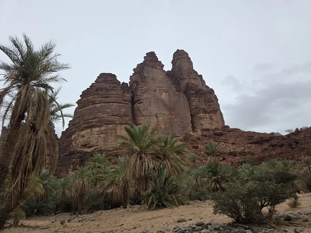 Tabuk Mountains Saudi Arabia Desert Palm Trees - Photo