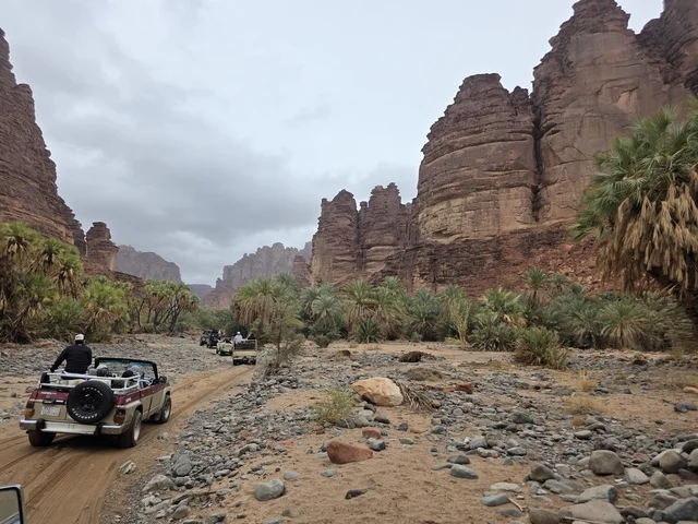 سيارات دفع رباعي في جبال تبوك بالمملكة العربية السعودية سيارات دفع رباعي في جبال تبوك بالمملكة العربية السعودية