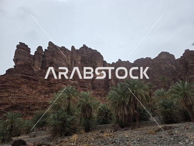 جبال تبوك السعودية مع واحة النخيل الطبيعية