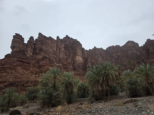 جبال تبوك السعودية مع واحة النخيل الطبيعية