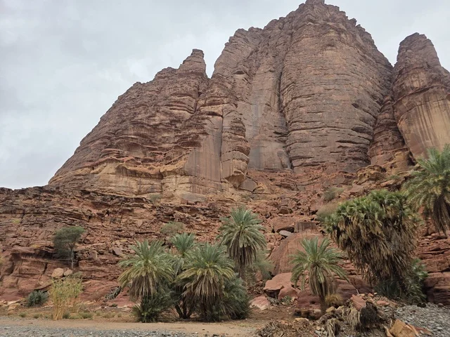 جبال تبوك وأشجار النخيل في السعودية