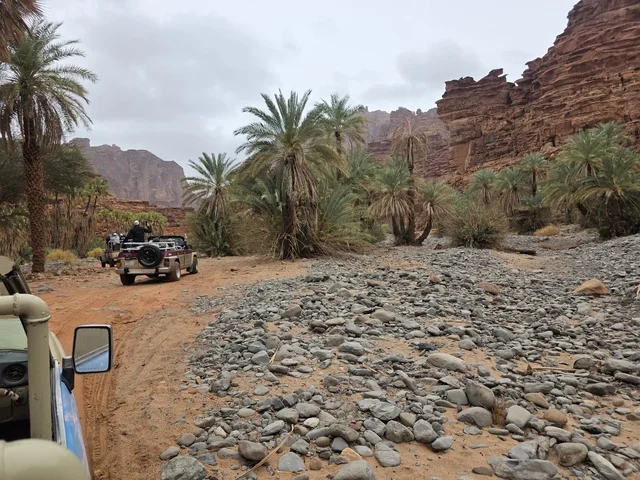 رحلة سفاري بسيارات الدفع الرباعي في جبال تبوك
