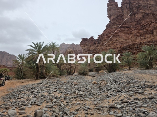 مناظر جبال تبوك مع النخيل والصخور في السعودية