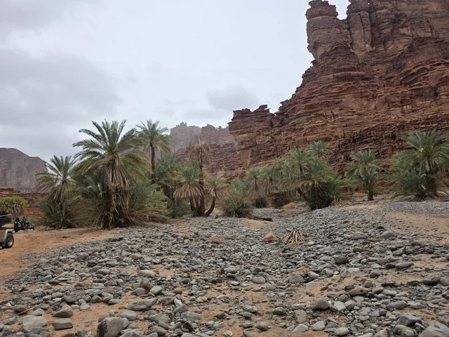 مناظر جبال تبوك مع النخيل والصخور في السعودية