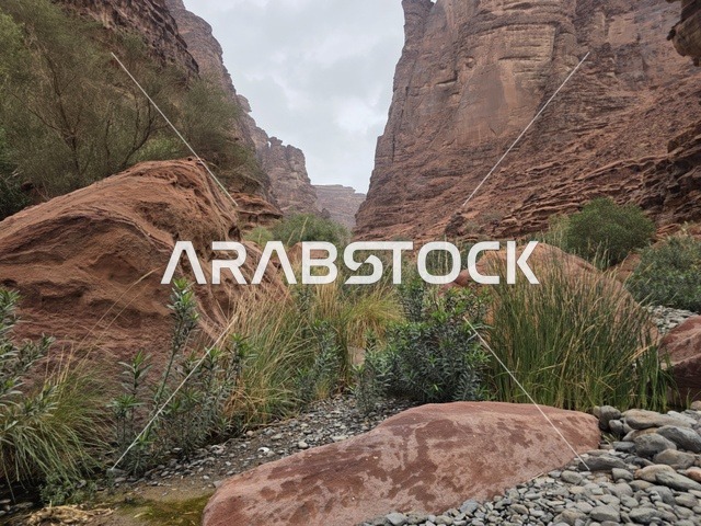 Tabuk Mountains Saudi Arabia Red Rock Canyon Landscape