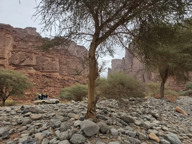 مركبة دفع رباعي في جبال تبوك السعودية