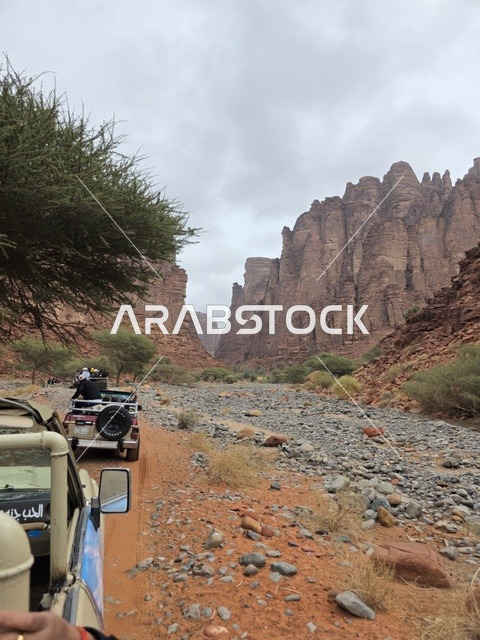 سيارات الدفع الرباعي في جبال تبوك السعودية
