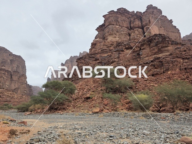 جبال الحجر الرملي في تبوك السعودية
