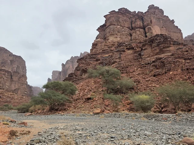 جبال الحجر الرملي في تبوك السعودية