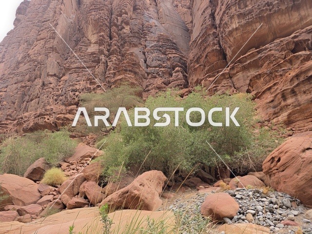 جبال تبوك الصخرية الحمراء في المملكة العربية السعودية