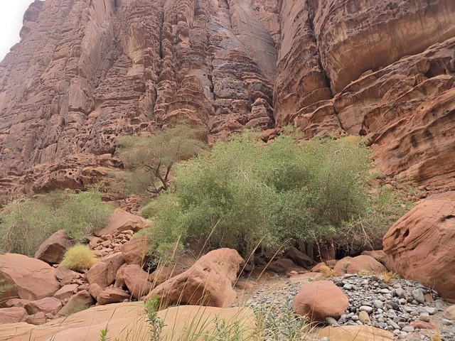 جبال تبوك الصخرية الحمراء في المملكة العربية السعودية