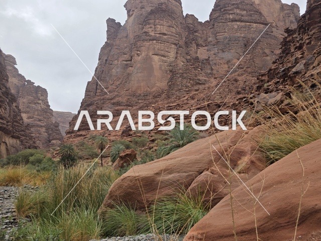 جبال تبوك الصخرية في المملكة العربية السعودية