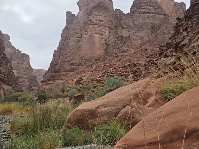 جبال تبوك الصخرية في المملكة العربية السعودية