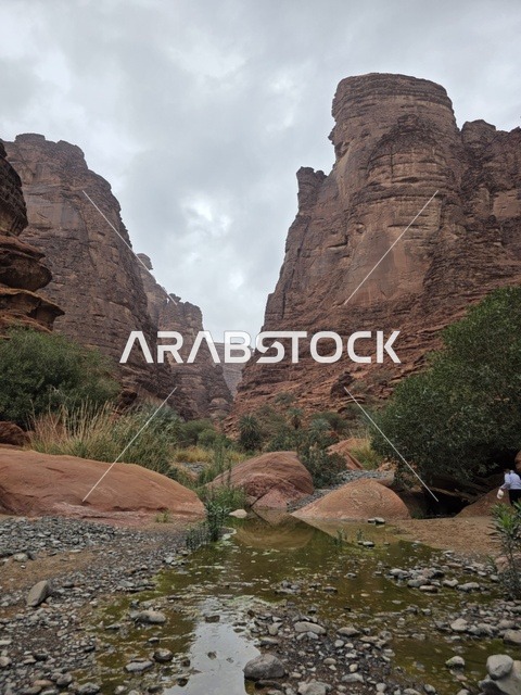 جبال تبوك السعودية ومناظر طبيعية في الوادي