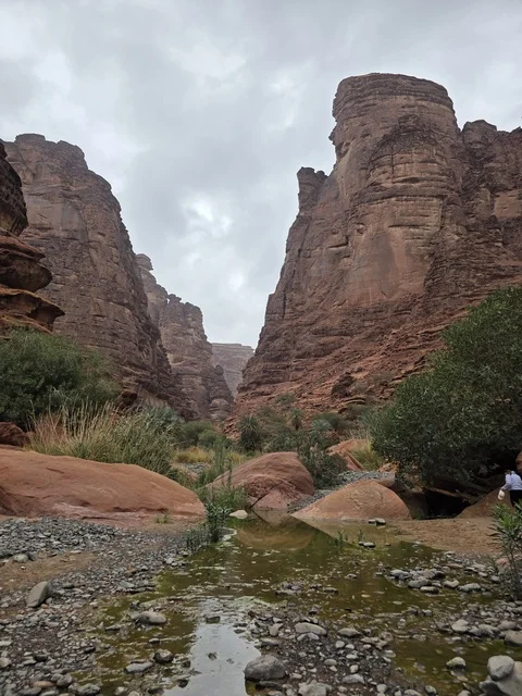 جبال تبوك السعودية ومناظر طبيعية في الوادي