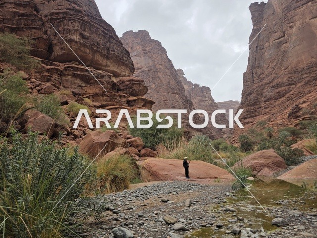 وادي الديسة جبال تبوك المملكة العربية السعودية